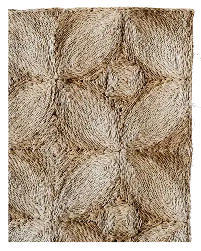 Abaca-2